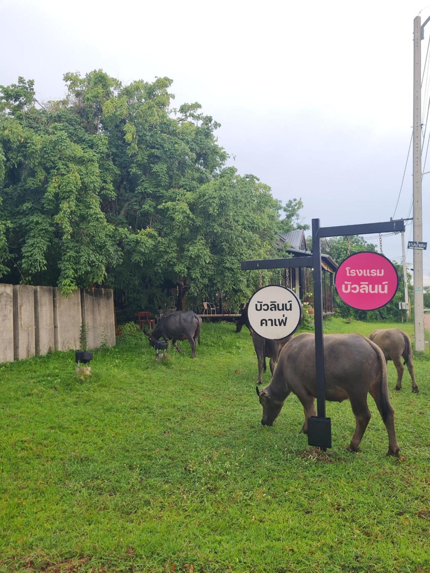Bualinn Resort Nong Khai Luaran gambar